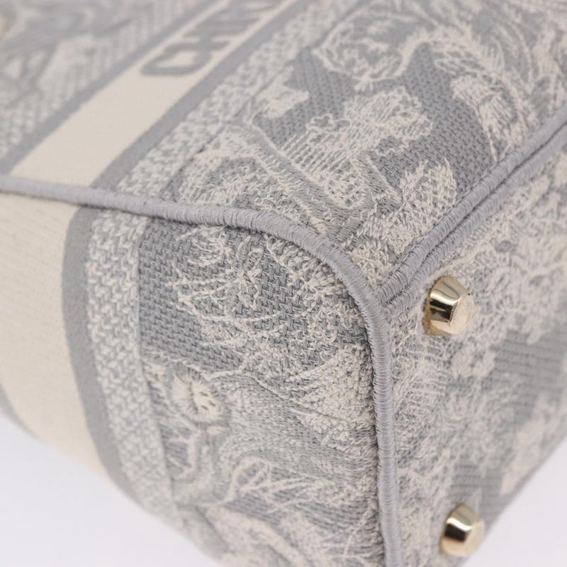 Christian Dior Lady Embroidered Canvas Gray Bag
