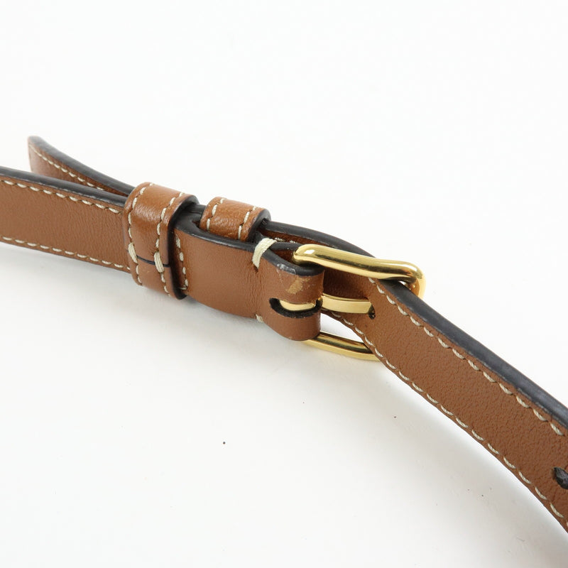 Celine Round Purse On Strap Triomphe Coated Canvas Brown Bag