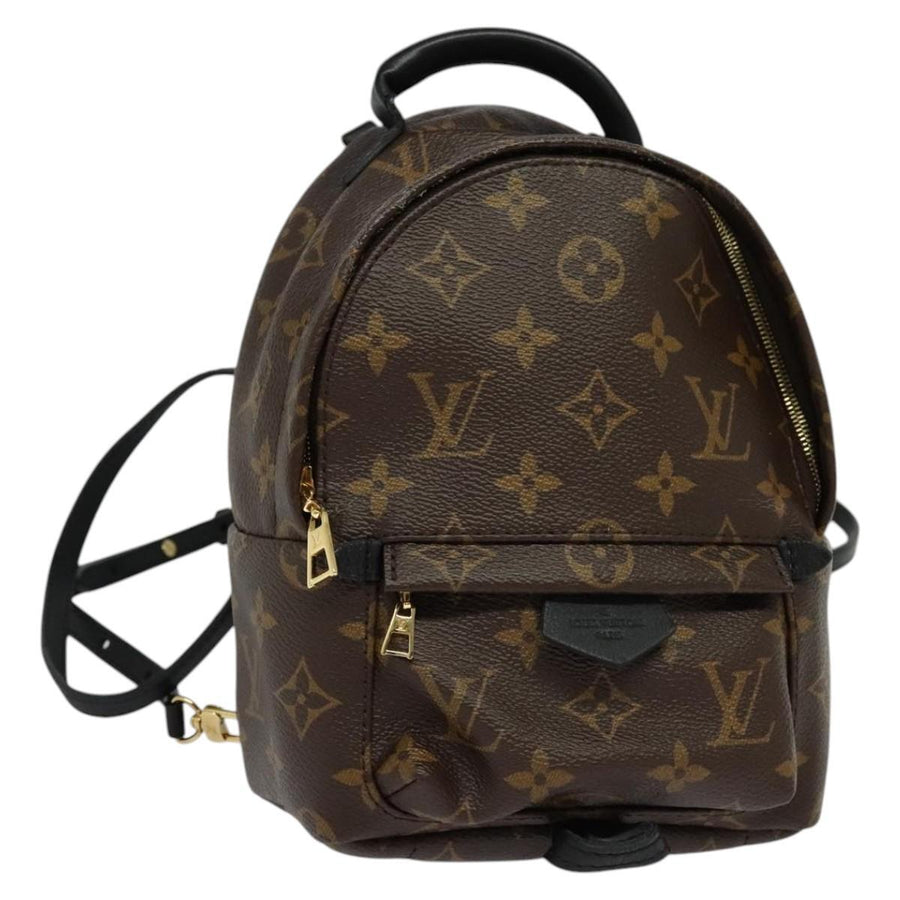 Louis Vuitton Palm Springs Monogram Canvas Brown Bag