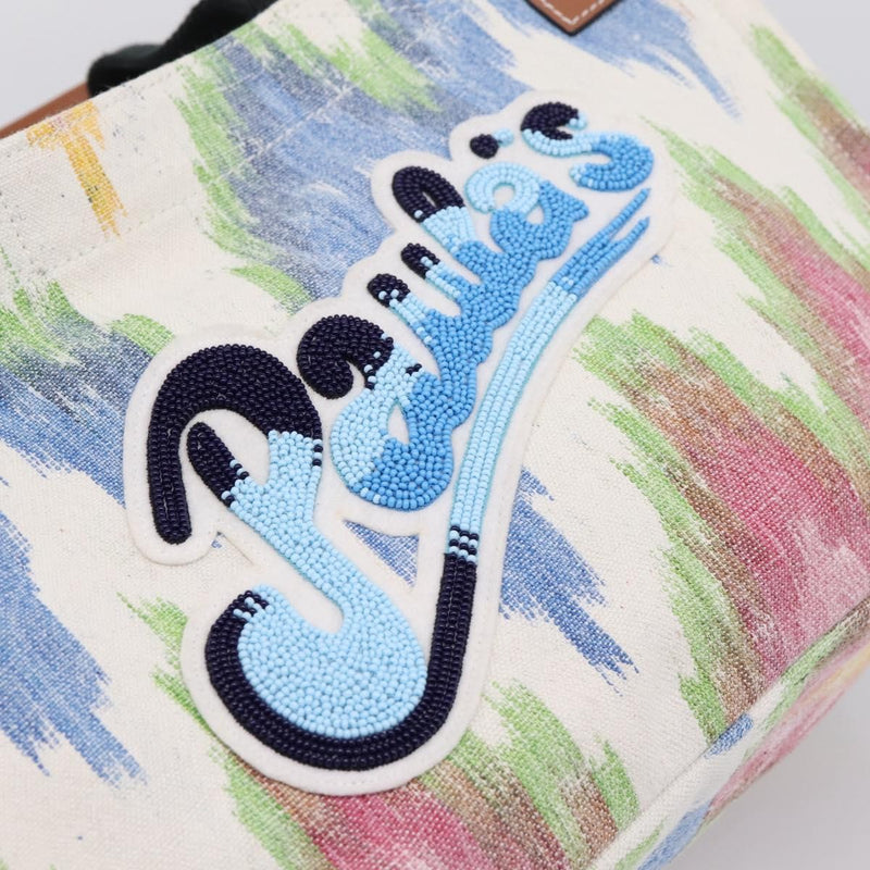 Loewe Paulas Ibiza Embellished Printed Canvas Multicolour Bag