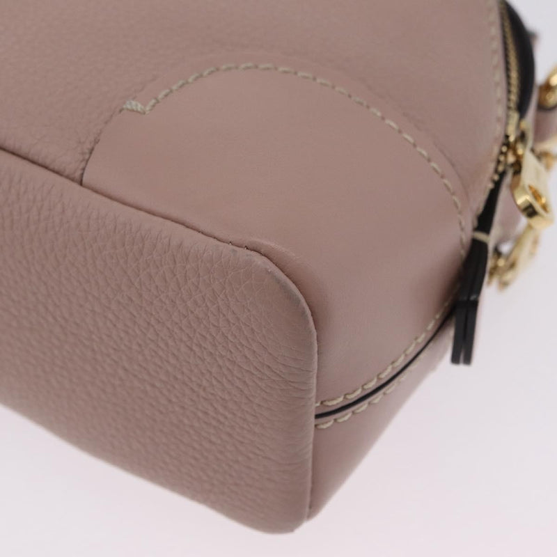 Chloe Daria Chain Leather Pink Bag