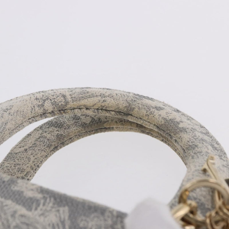Christian Dior Lady Embroidered Canvas Gray Bag