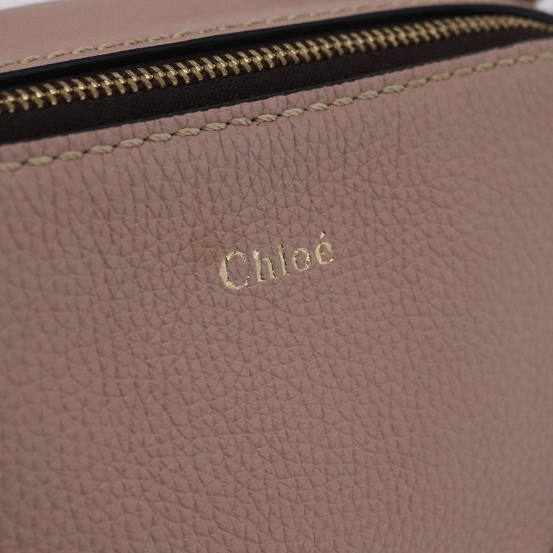 Chloe Daria Chain Leather Pink Bag