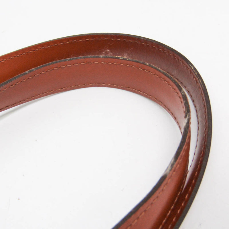 Louis Vuitton Lussac Epi Leather Brown Bag