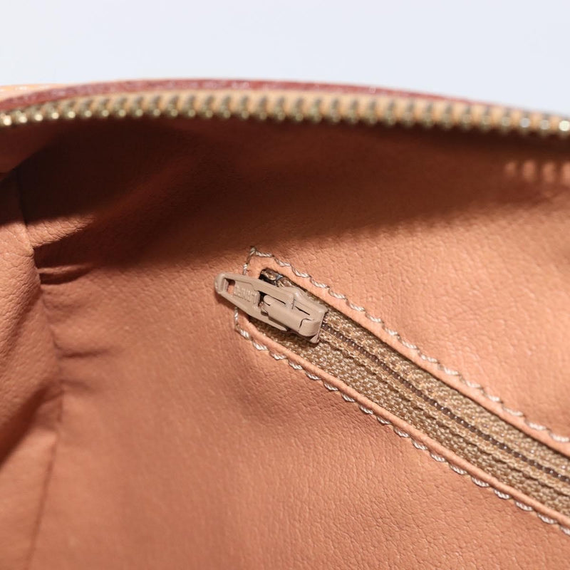 Celine Handbag Canvas Brown Bag