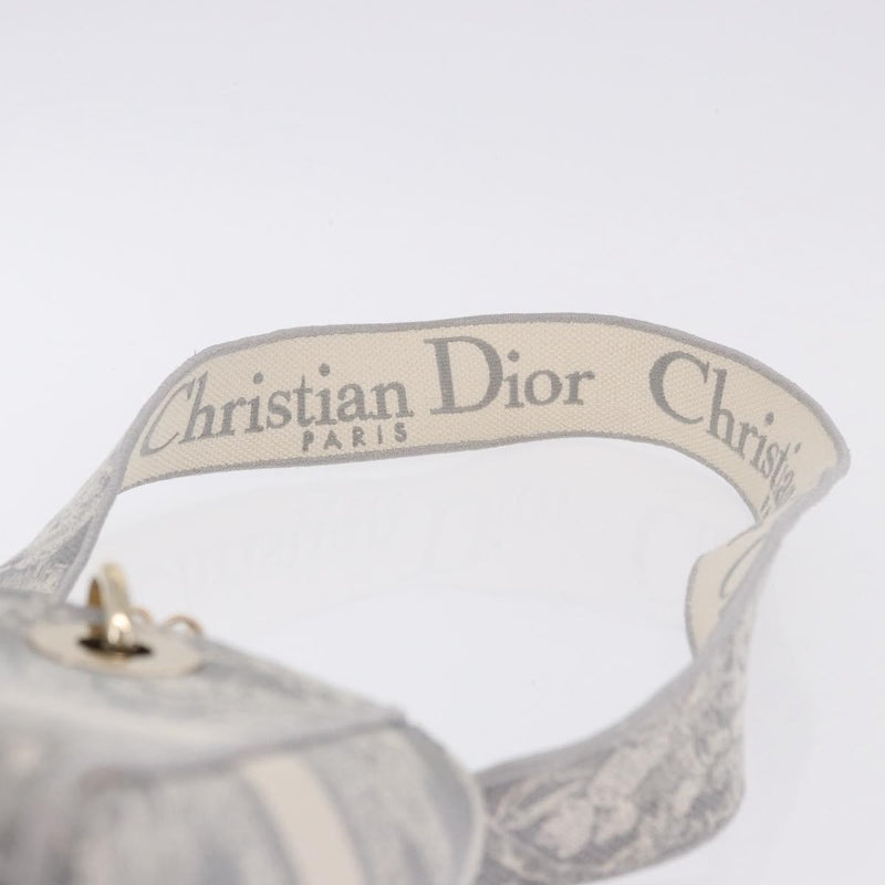 Christian Dior Lady Embroidered Canvas Gray Bag