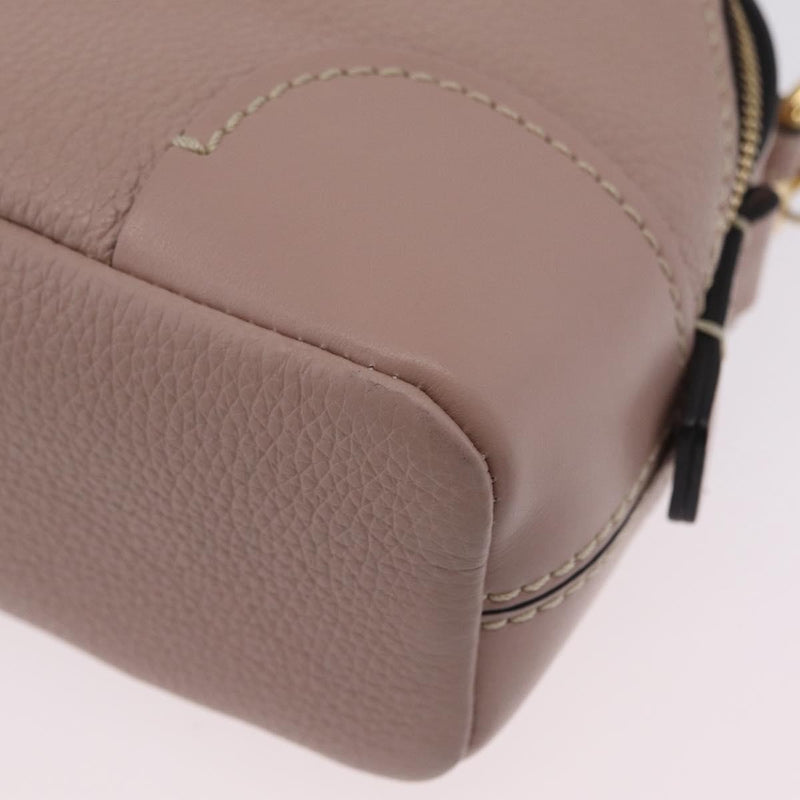 Chloe Daria Chain Leather Pink Bag