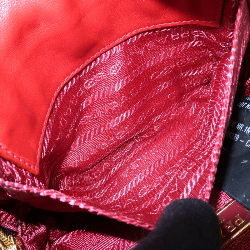 Prada Camera Printed Calf Hair Brown Pony_style_calfskin Bag