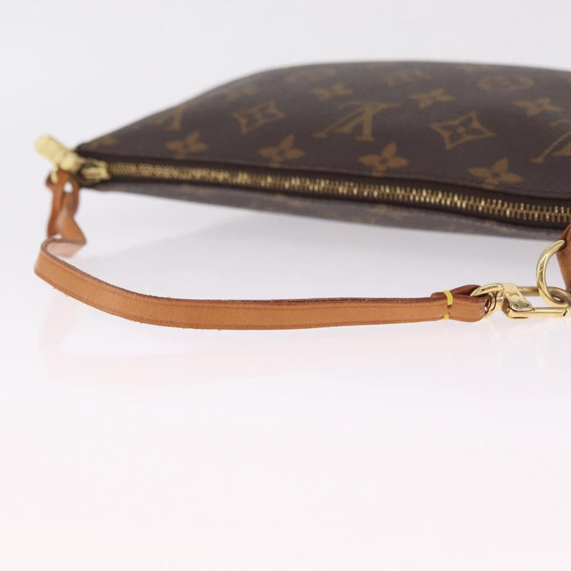 Louis Vuitton Pochette Accessoires Nm Monogram Canvas Brown Bag