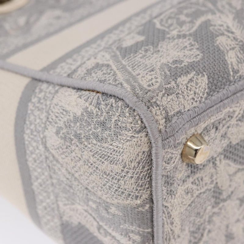 Christian Dior Lady Embroidered Canvas Gray Bag