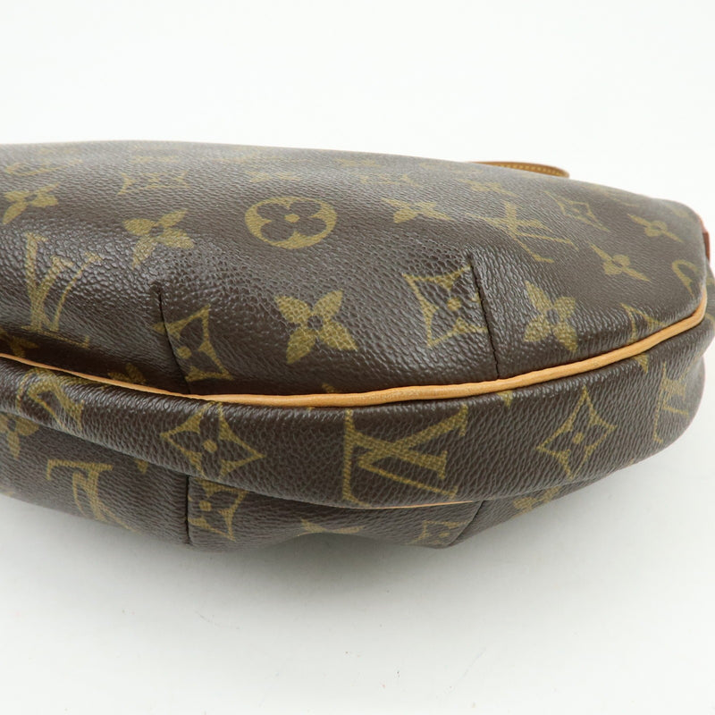 Louis Vuitton Croissant Monogram Canvas Brown Bag