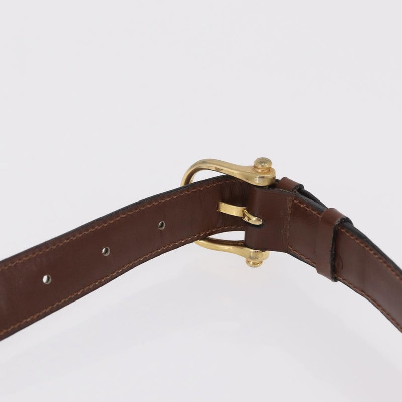 Celine Triomphe Leather Brown Bag