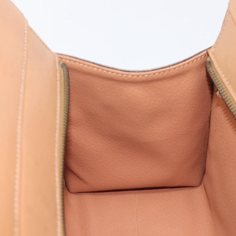 Celine Handbag Canvas Brown Bag