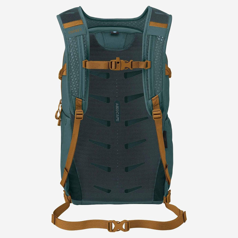 Osprey Daylite Plus Backpack — Green Recycled Polyester