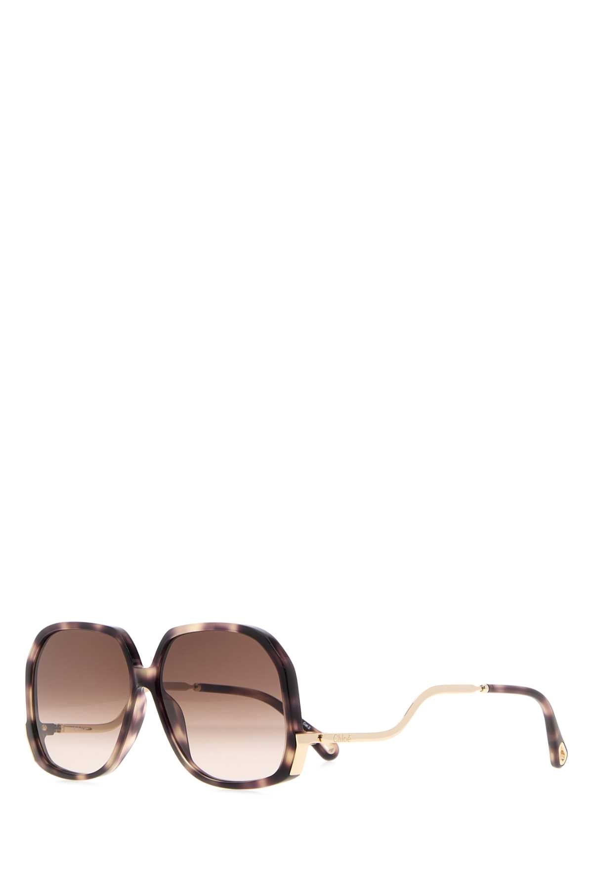 Chloé Tortoiseshell Acetate Sunglasses — Brown Exterior