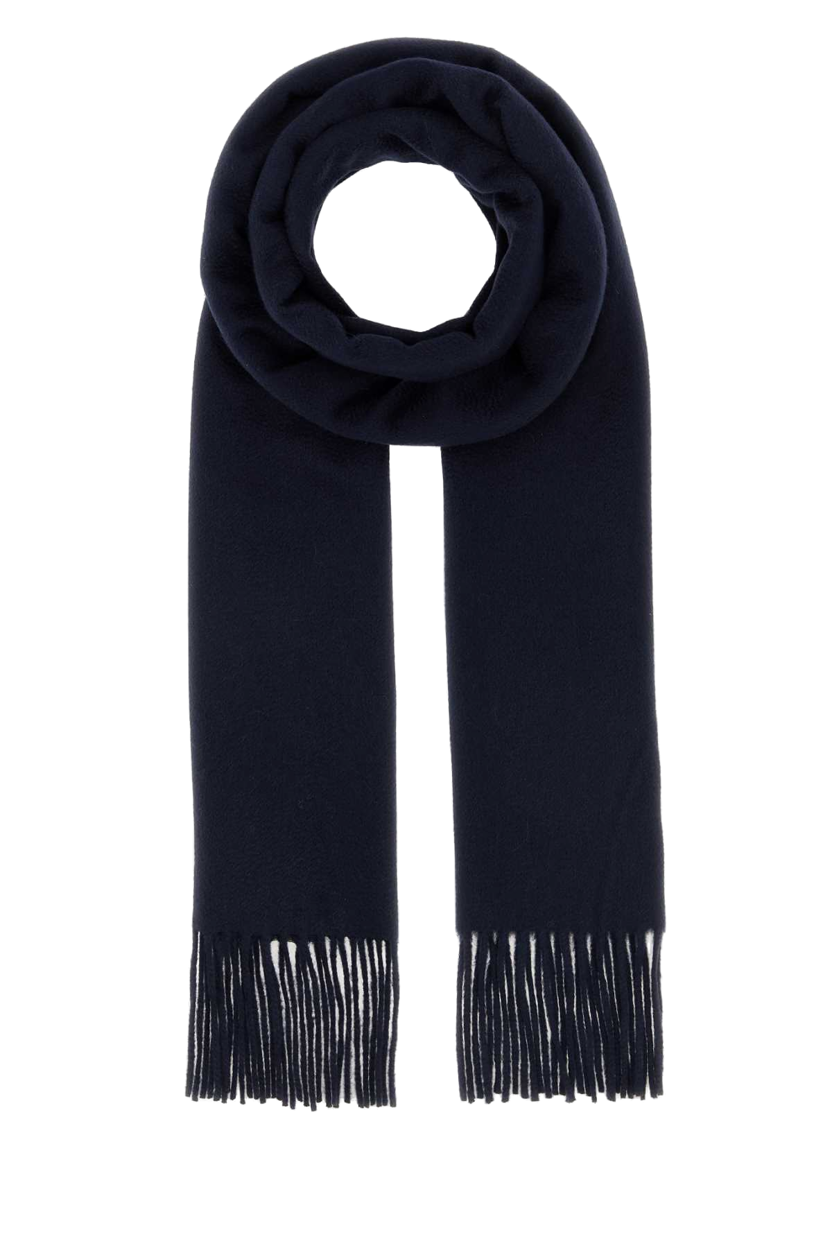 Max Mara Dalia Scarf — Navy Exterior: Cashmere Scarfs