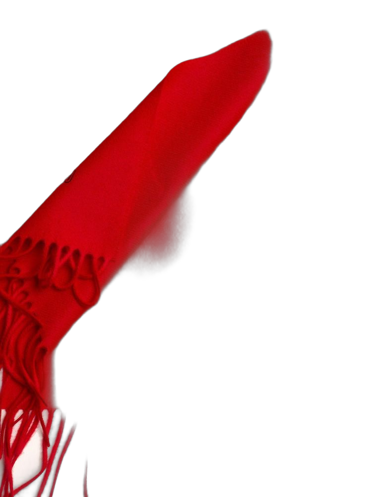 Moschino Lambswool Scarf — Red Scarfs