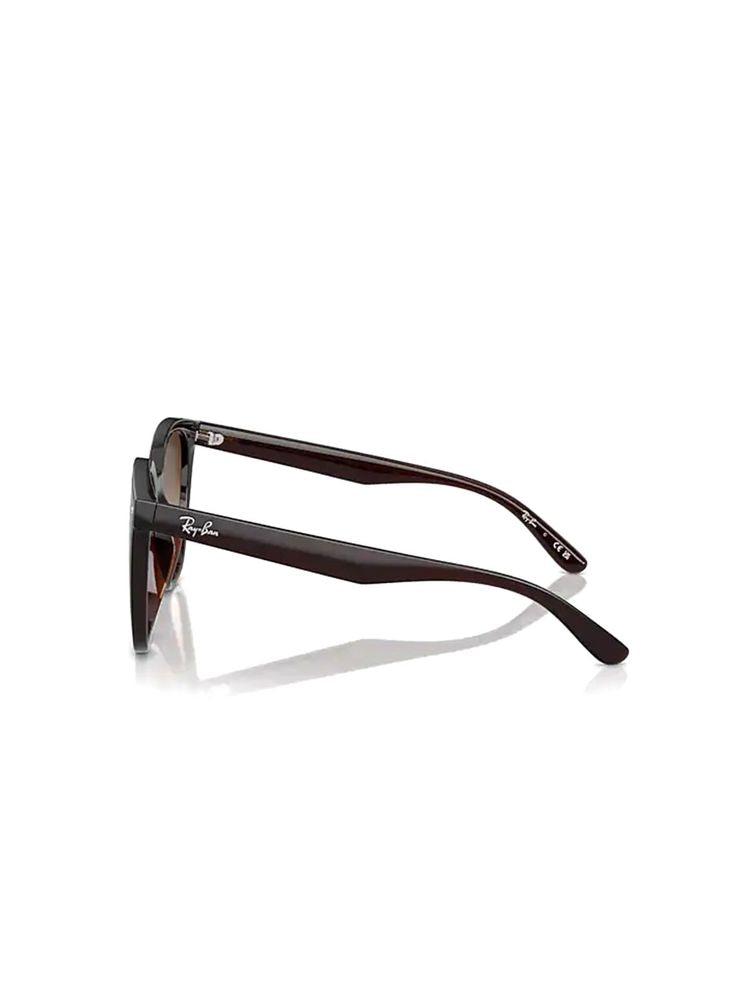 Ray-Ban 0rb4423d Brown Lens Sunglasses — Metal