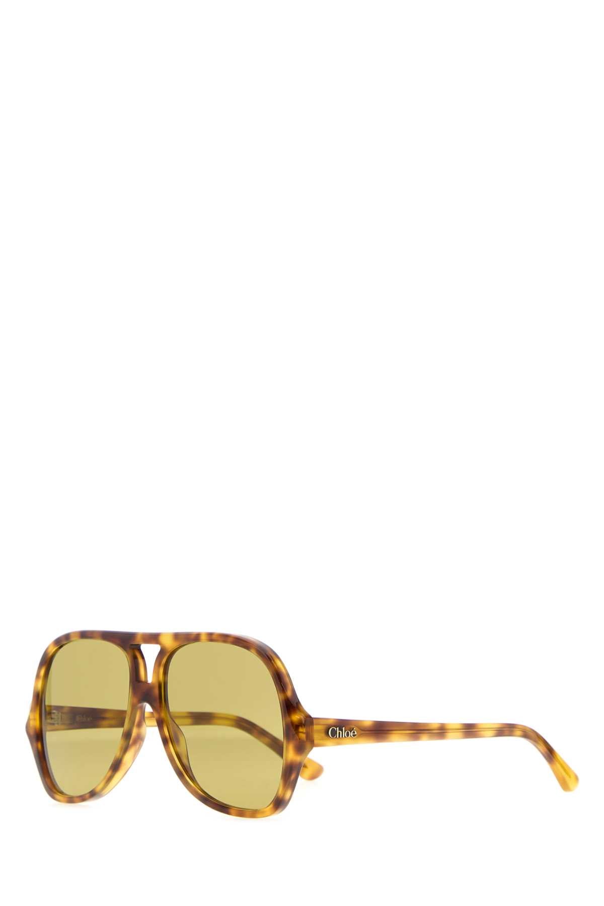 Chloé Glasses Tortoiseshell Acetate Sunglasses — Brown Exterior