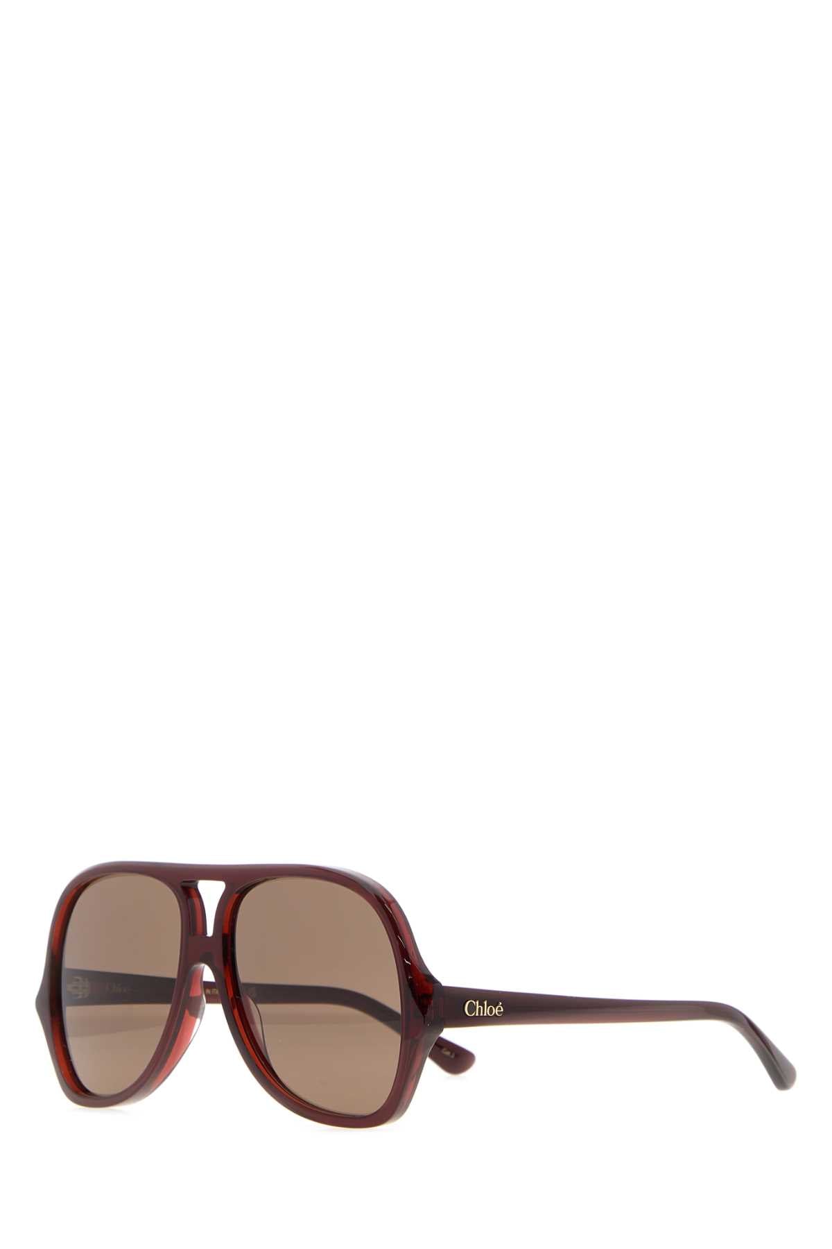 Chloé Glasses Oversized Acetate Sunglasses — Brown Exterior