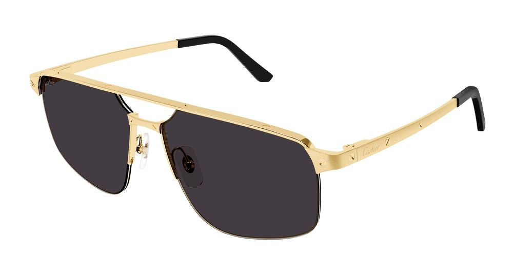 Cartier Ct0385s Gold Metal Rectangle Sunglasses —