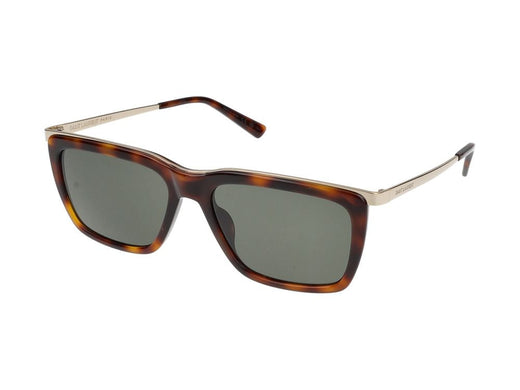 Saint Laurent Sl Sunglasses — Havana Acetate