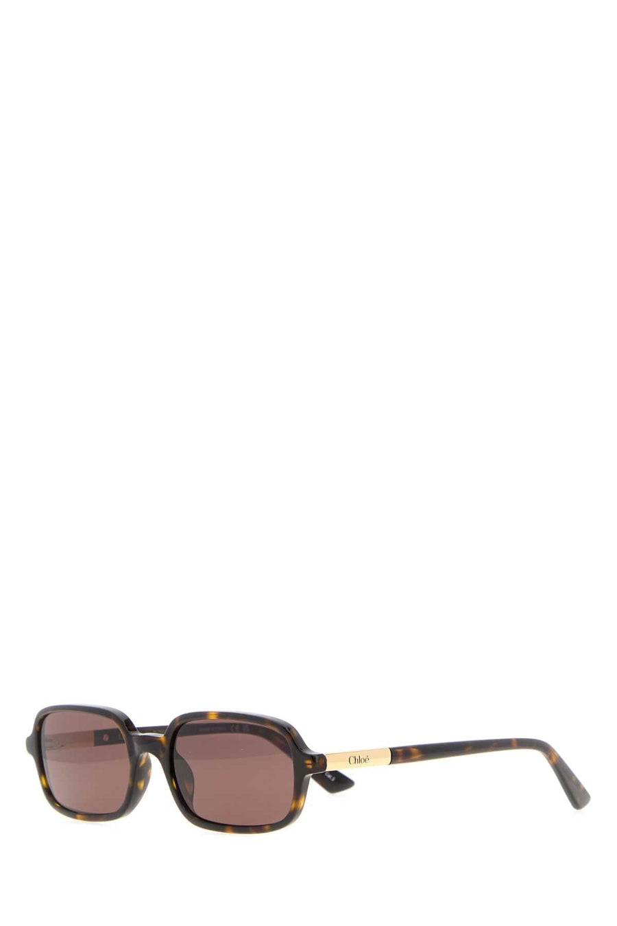 Chloé Glasses Tortoiseshell Acetate Sunglasses — Brown Exterior