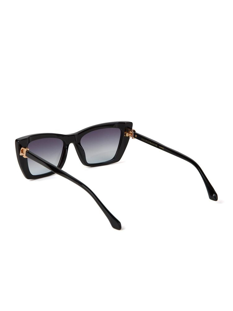 Ana Hickmann Ah9517 Gradient Lens Sunglasses — Black Acetate