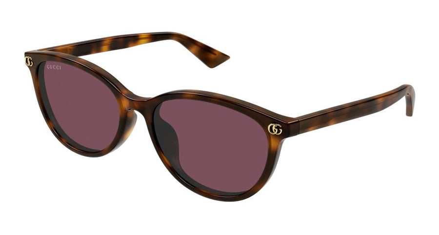Gucci Gg1818sk Sunglasses — Havana Acetate
