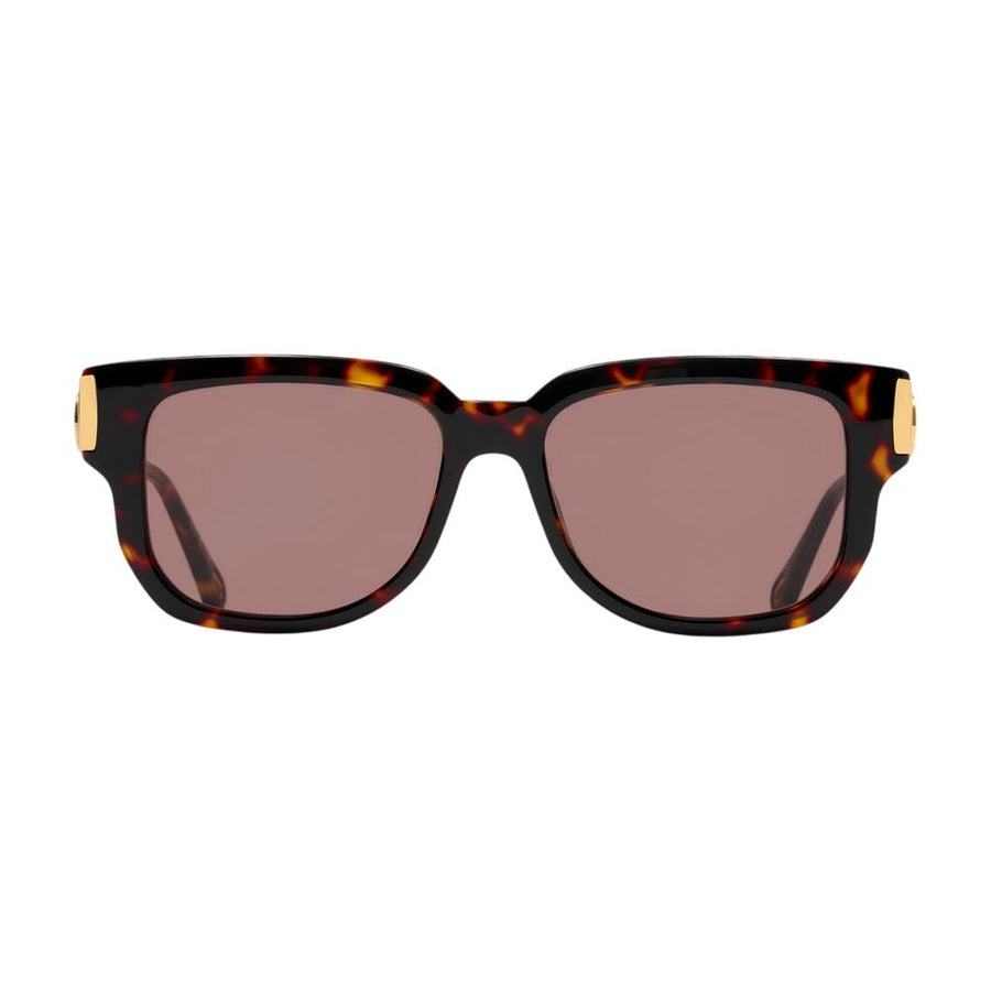 Chloé Ch0351s-003 Tortoiseshell Acetate Sunglasses — Brown