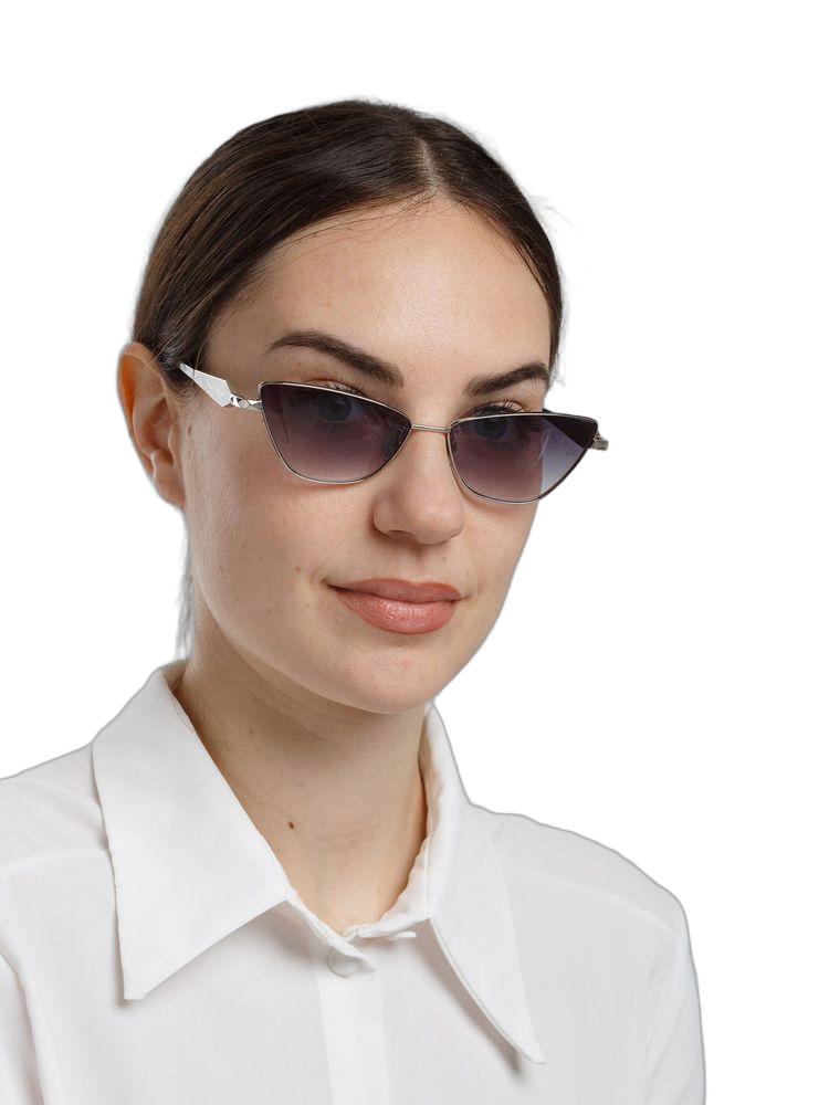 Ana Hickmann Ah3347 Gradient Lens Cat-Eye Sunglasses — Silver Metal