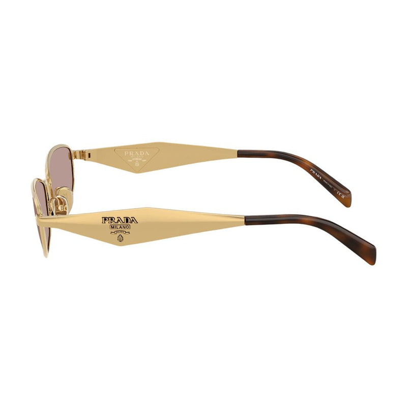 Prada 0prd51s-5ak20i55 Gold Metal Acetate Sunglasses —
