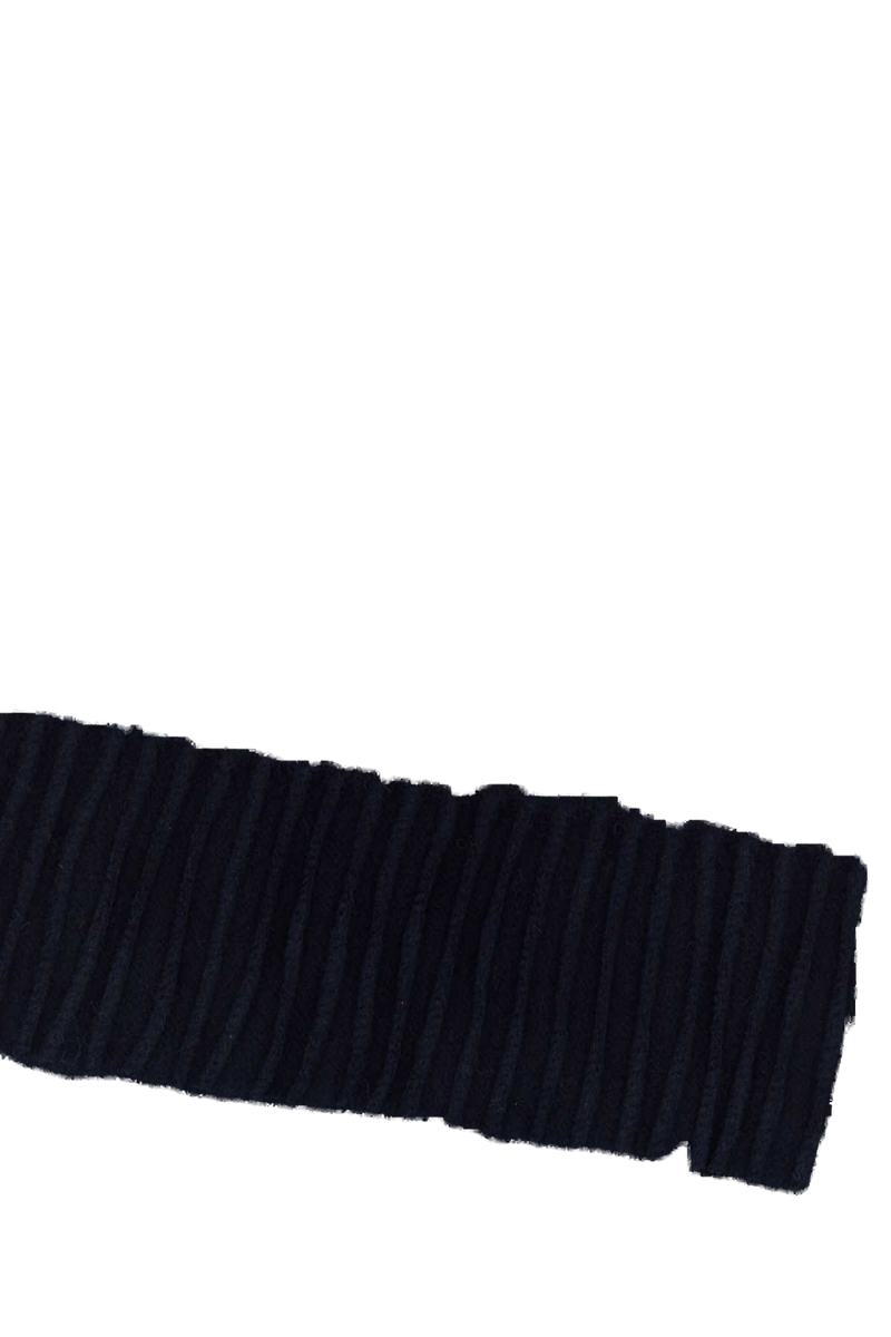Max Mara Dalia Scarf — Navy Exterior: Cashmere Scarfs