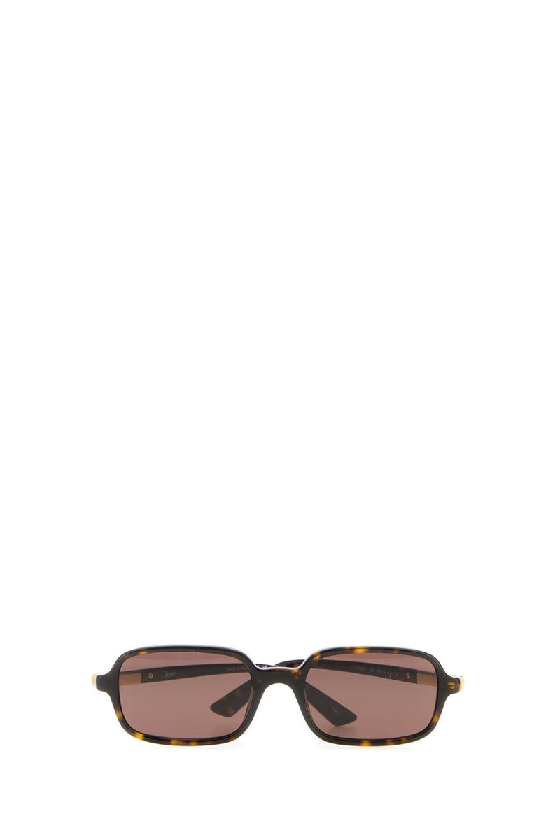 Chloé Glasses Tortoiseshell Acetate Sunglasses — Brown Exterior