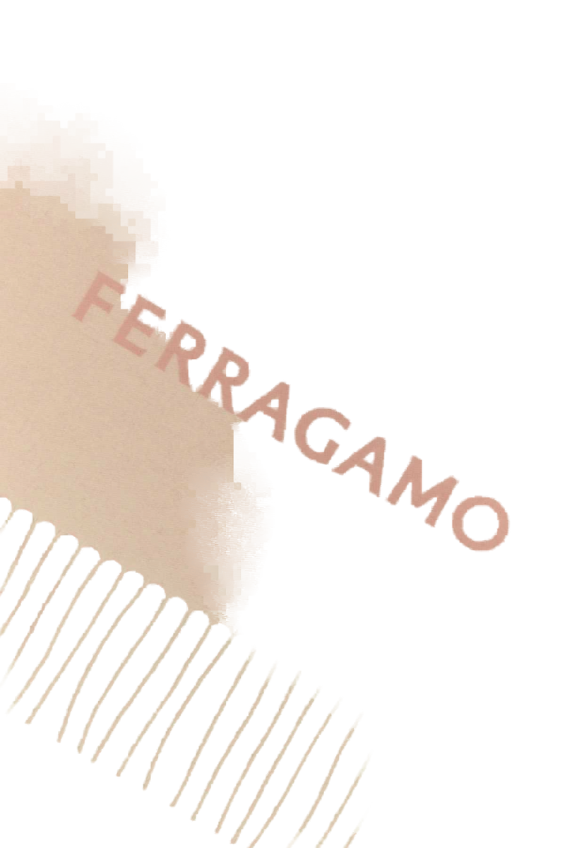 Ferragamo Cashmere Scarf — Pink Exterior: Scarfs