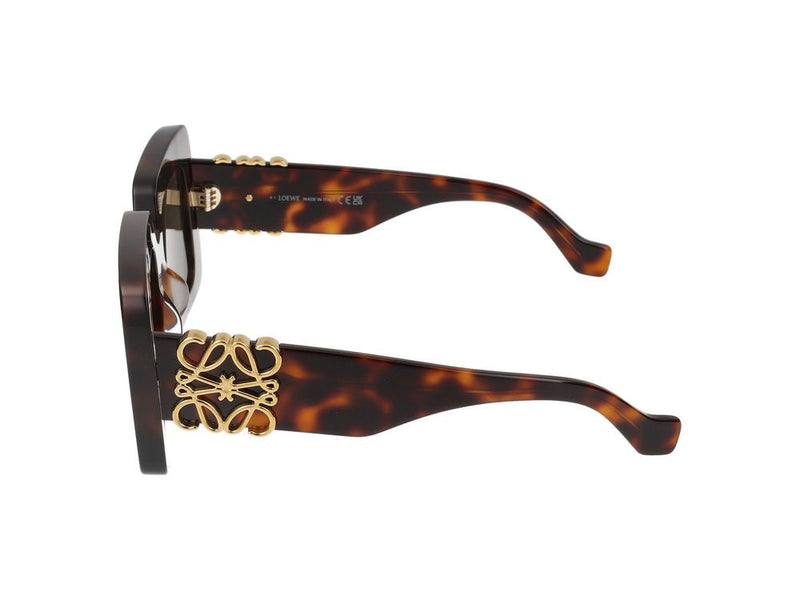 Loewe Lw40176u Square Acetate Frame Sunglasses — Tortoiseshell Standard