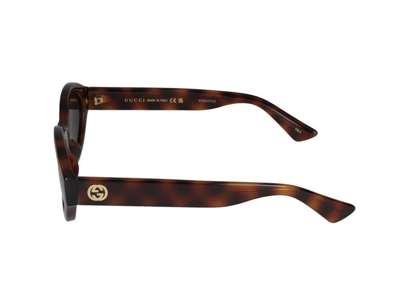 Gucci Gg1579s Sunglasses — Havana Injected