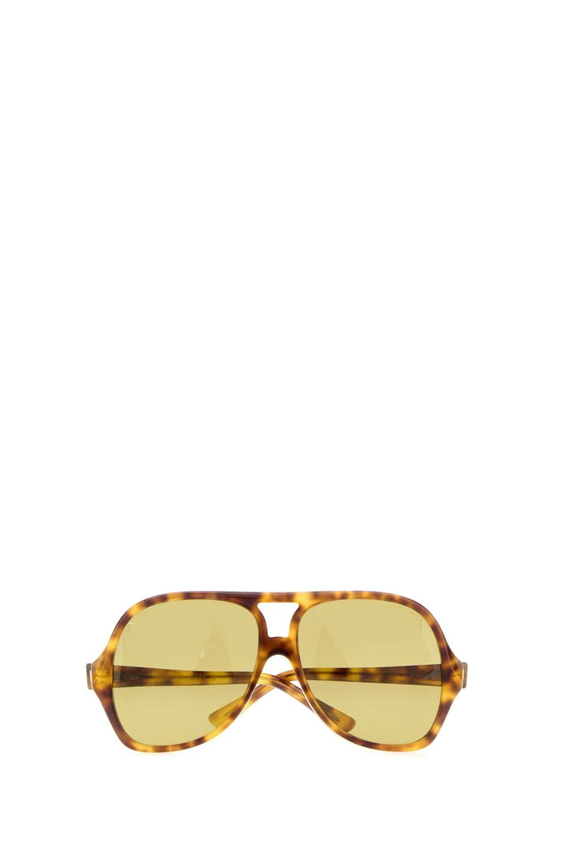 Chloé Glasses Tortoiseshell Acetate Sunglasses — Brown Exterior