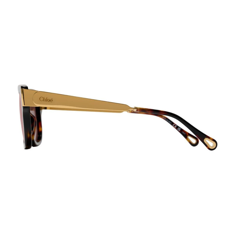 Chloé Ch0351s-003 Tortoiseshell Acetate Sunglasses — Brown