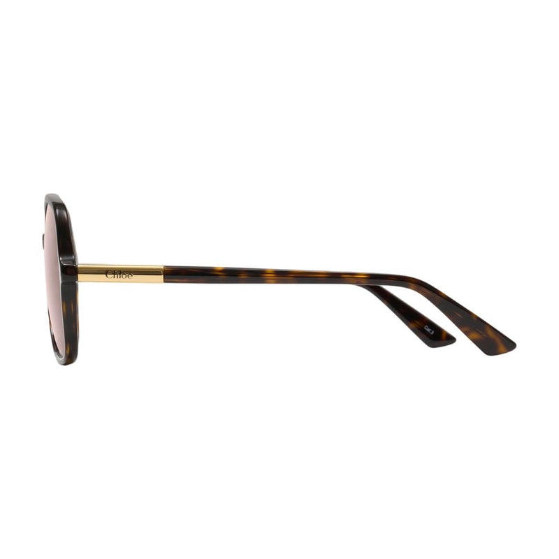 Chloé Ch0364s-002 Tortoiseshell Acetate Sunglasses — Brown