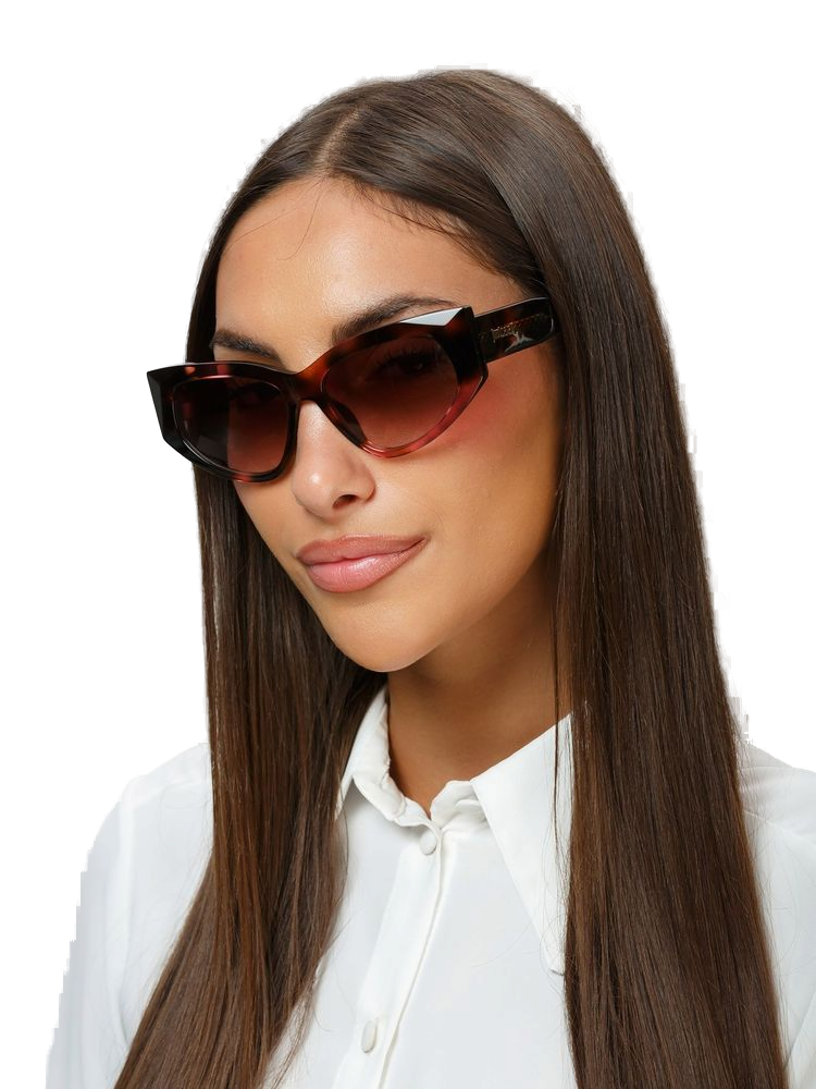 Just Cavalli Sjc169 Acetate Cat-Eye Sunglasses — Brown