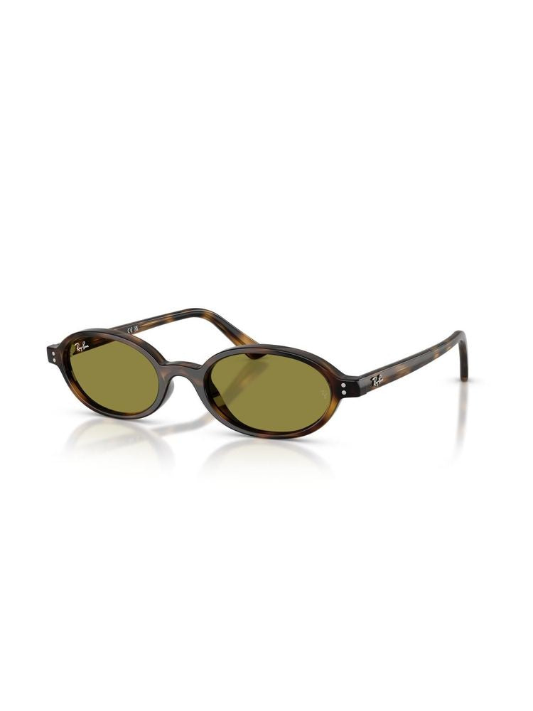 Ray-Ban 0rb4472 Polished Havana Acetate Sunglasses — Brown Injected Plastic Frame