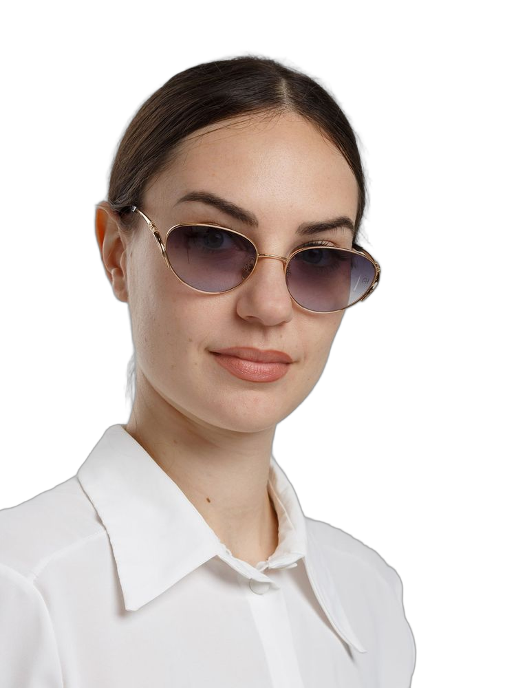 Ana Hickmann Ah3354 Gradient Lens Metal Sunglasses — Gold