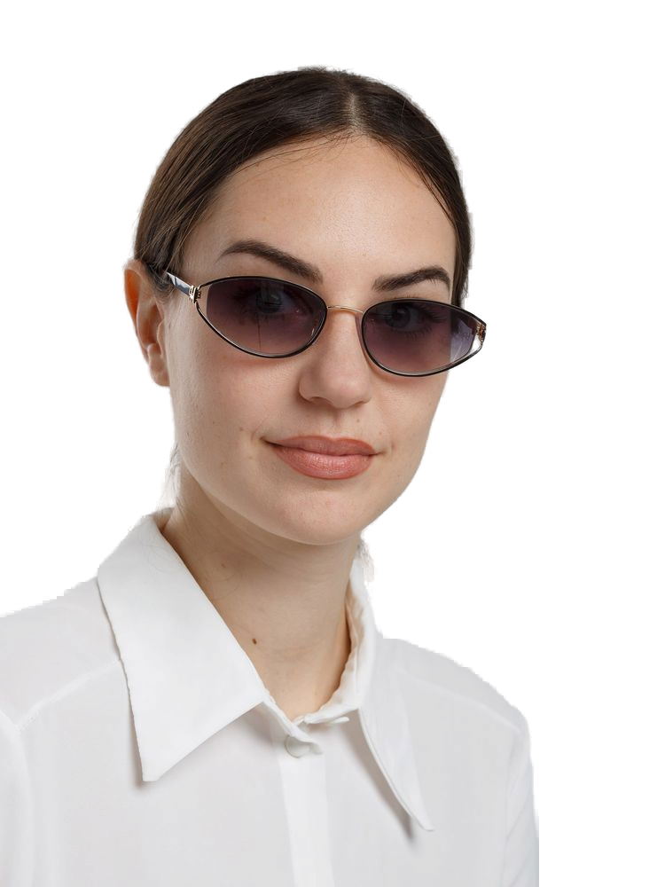 Ana Hickmann Ah3355 Metal Cat-Eye Sunglasses — Gold