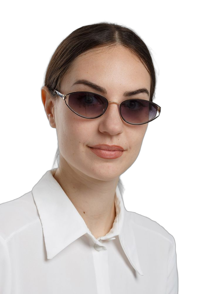 Ana Hickmann Ah3355 Gradient Purple Lens Sunglasses — Gold Metal