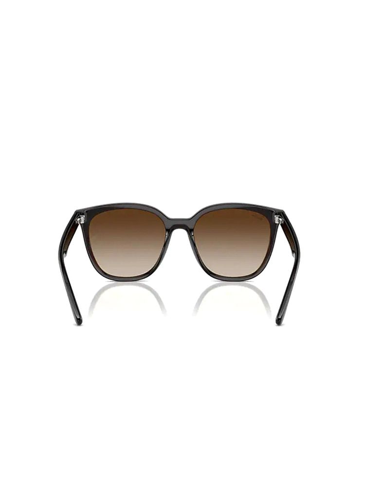 Ray-Ban 0rb4423d Brown Lens Sunglasses — Metal