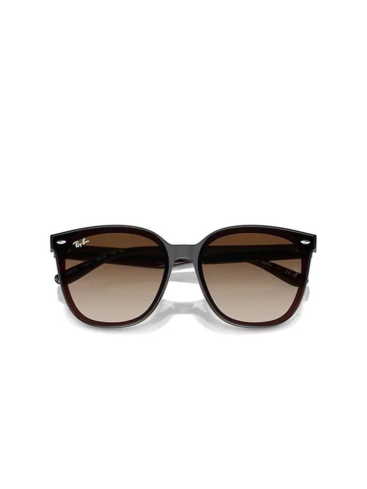 Ray-Ban 0rb4423d Brown Lens Sunglasses — Metal