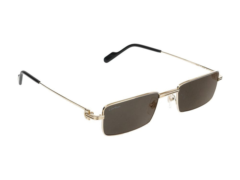 Cartier Ct0501s Sunglasses — Gold Metal