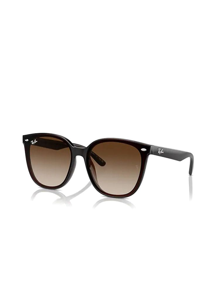 Ray-Ban 0rb4423d Brown Lens Sunglasses — Metal