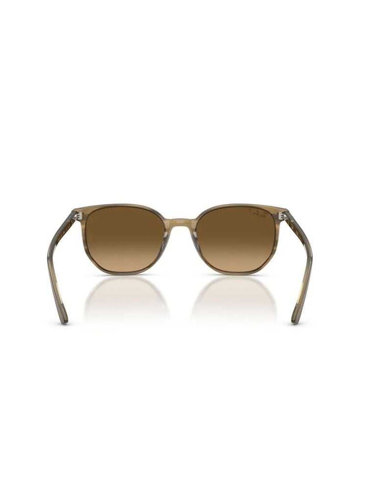 Ray-Ban 0rb2197 Gradient Lens Sunglasses — Brown Acetate